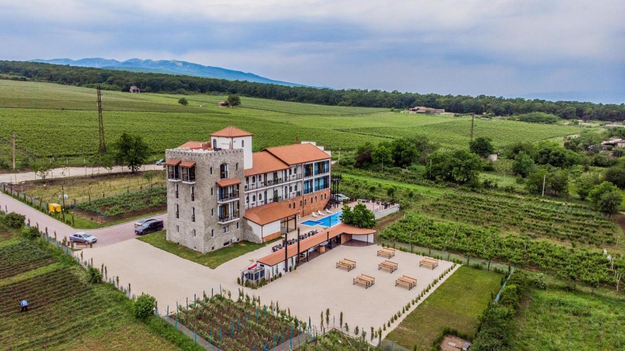 Tsinandali Resort & Spa エクステリア 写真
