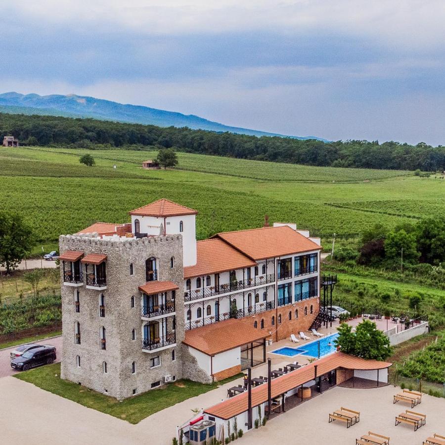 Tsinandali Resort & Spa エクステリア 写真