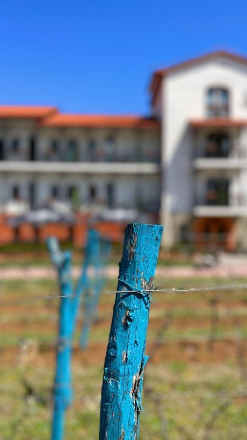 Tsinandali Resort & Spa エクステリア 写真